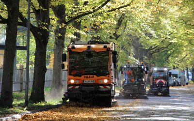 Herbstzeit ist Laubzeit